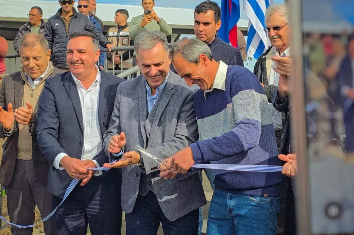 Orsi y Albisu